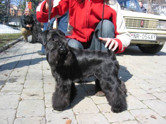 img_3166 img_3169.jpg, 58 kB