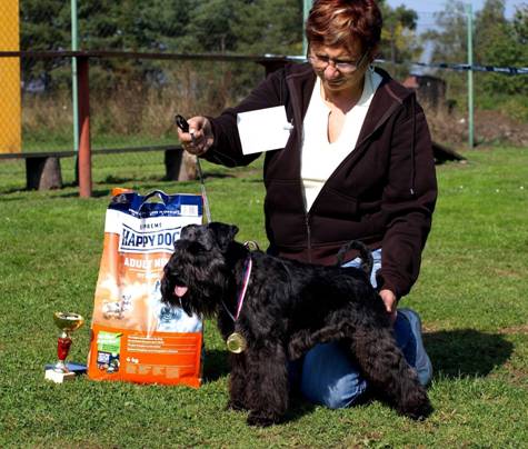 cognac_cacib cognac_cacib.jpg, 41 kB