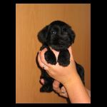 litter_c/img_5164_t.jpg